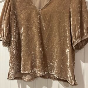 LOFT Velvet Blouse in Soft Tan